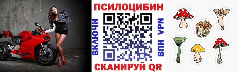 Купить  Чишмы  Галлюциногенные грибы Psilocybe 